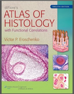 Di fiore atlas of human histology