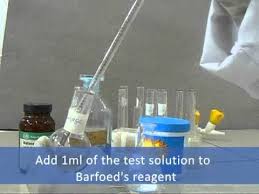 barfoad's test for monosaccharides