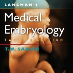 Download Langman's embryology pdf free