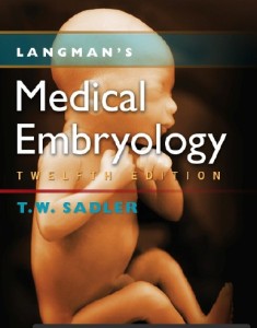 Download Langman's embryology pdf free