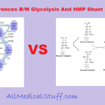 Differences between Glycolysis and HMP Shunt