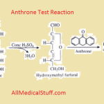 anthrone test for cabohydrates