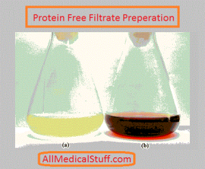 preparation of protein free filtrate PFF