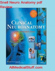 snell neuroanatomy pdf