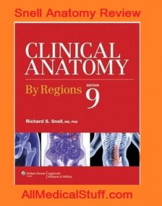 snell anatomy pdf