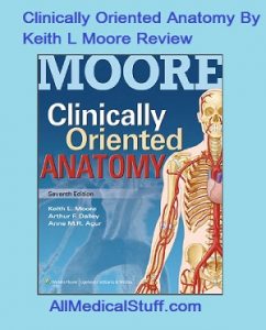 clinically oriented anatomy pdf