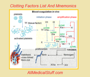 13 clotting factors and mnemonics