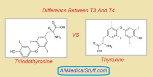 differences between t3 and t4