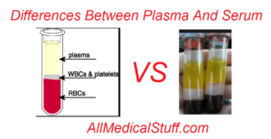 differences between plasma and serum