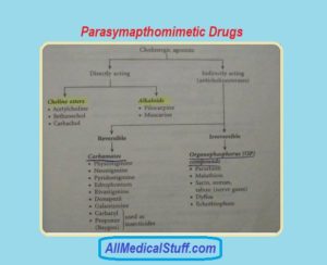 parasympathomimetic drugs